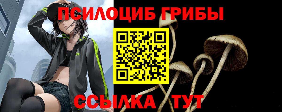 Псилоцибиновые грибы Cubensis Прокопьевск